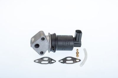 EGR Valve BorgWarner (Wahler) 710971R