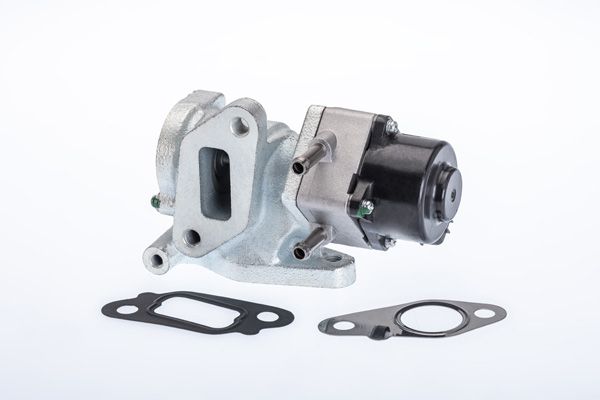 BorgWarner (Wahler) 710972R EGR Valve
