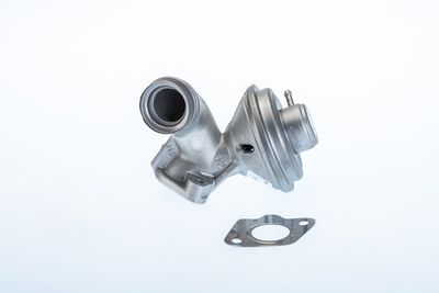 EGR Valve BorgWarner (Wahler) 710973R