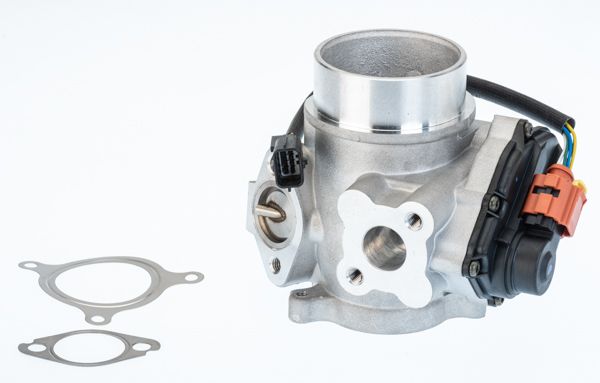 BorgWarner (Wahler) 710974D/1 EGR Valve