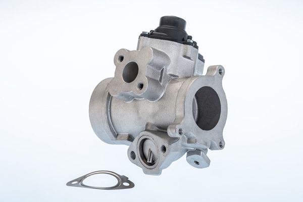 BorgWarner (Wahler) 710974R EGR Valve