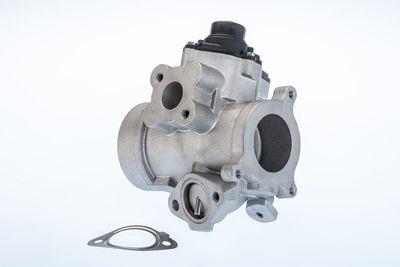 EGR Valve BorgWarner (Wahler) 710974R