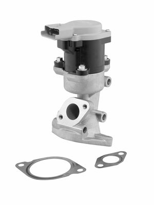 EGR Valve BorgWarner (Wahler) 710976D