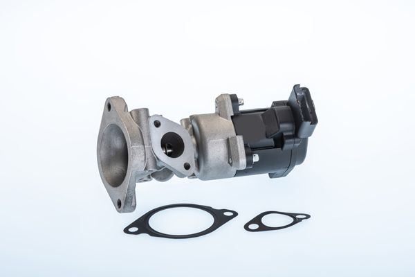 BorgWarner (Wahler) 710976R EGR Valve