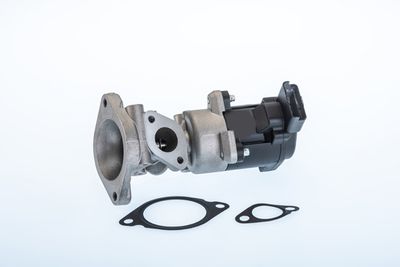 EGR Valve BorgWarner (Wahler) 710976R