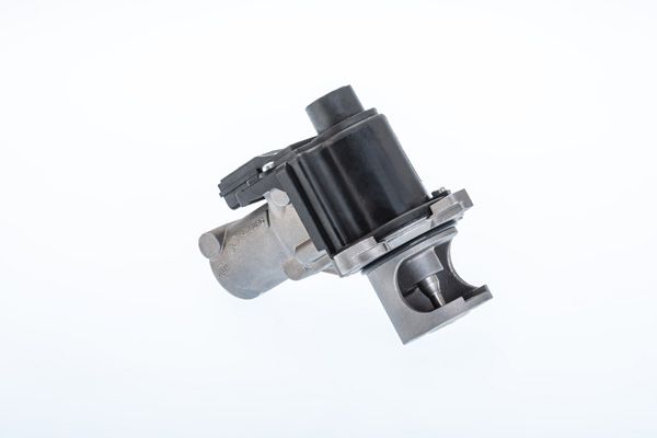BorgWarner (Wahler) 710977R EGR Valve