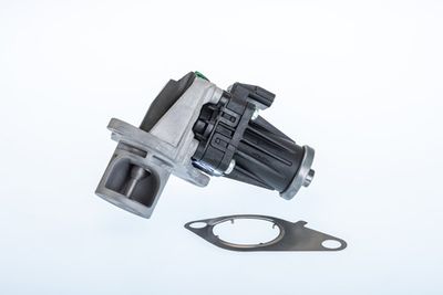 EGR Valve BorgWarner (Wahler) 710978R