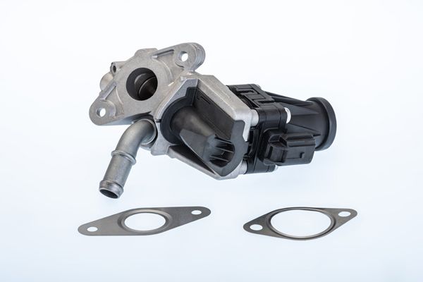 BorgWarner (Wahler) 710979R EGR Valve