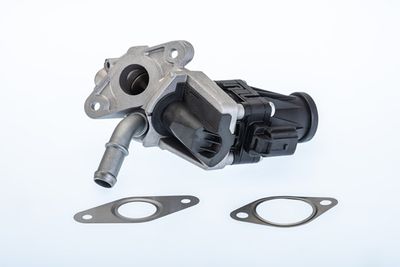 EGR Valve BorgWarner (Wahler) 710979R