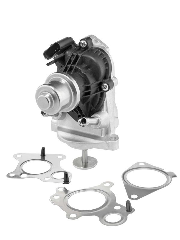 BorgWarner (Wahler) 710980D EGR Valve