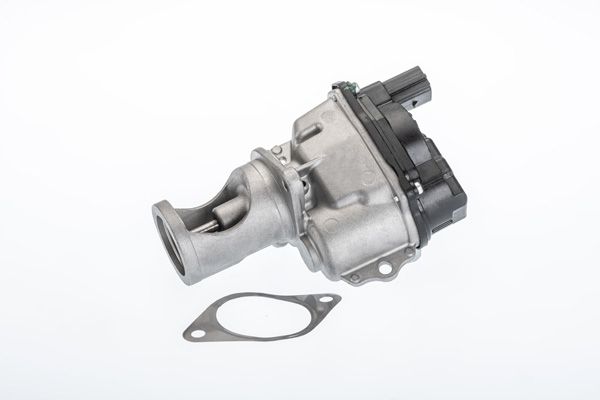 BorgWarner (Wahler) 710981R EGR Valve