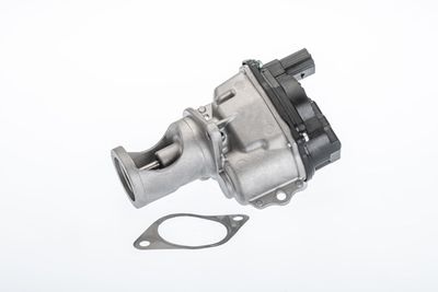 EGR Valve BorgWarner (Wahler) 710981R
