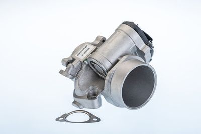 EGR Valve BorgWarner (Wahler) 710982R