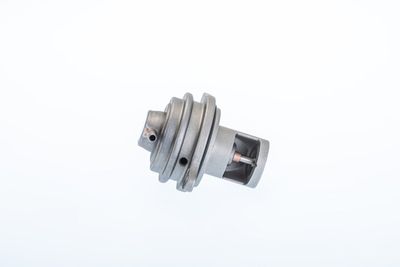 EGR Valve BorgWarner (Wahler) 710983R