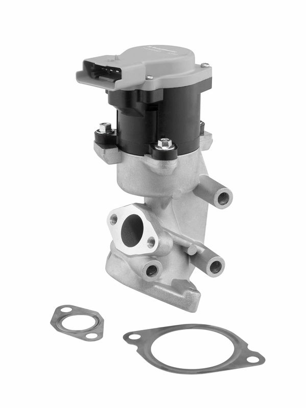 BorgWarner (Wahler) 710984D EGR Valve