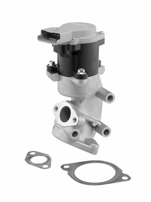 EGR Valve BorgWarner (Wahler) 710984D