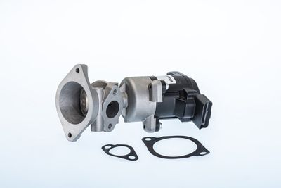 EGR Valve BorgWarner (Wahler) 710984R