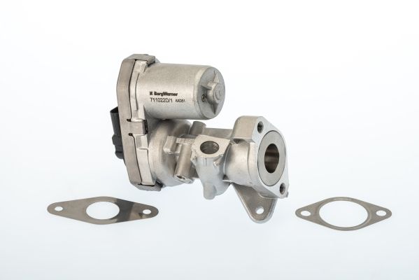 BorgWarner (Wahler) 711022D EGR Valve