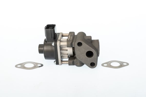BorgWarner (Wahler) 711024D EGR Valve