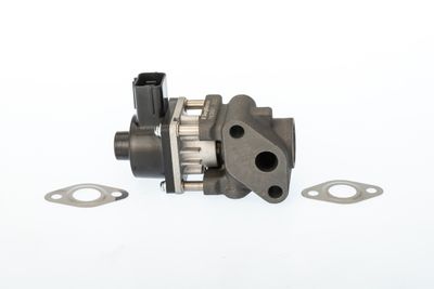 EGR Valve BorgWarner (Wahler) 711024D