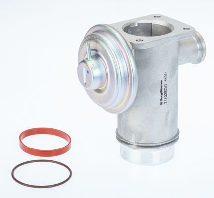 BorgWarner (Wahler) 711025D/1 EGR Valve