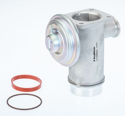 EGR Valve BorgWarner (Wahler) 711025D