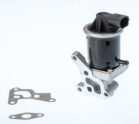 BorgWarner (Wahler) 711028D/1 EGR Valve