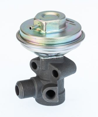 EGR Valve BorgWarner (Wahler) 711029D