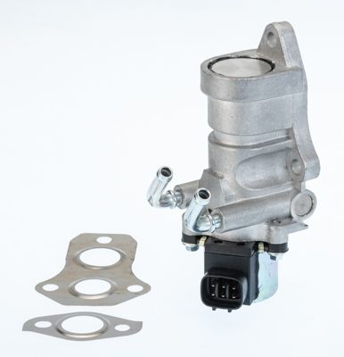EGR Valve BorgWarner (Wahler) 711030D