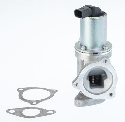 BorgWarner (Wahler) 711031D EGR Valve