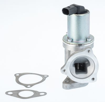 EGR Valve BorgWarner (Wahler) 711031D