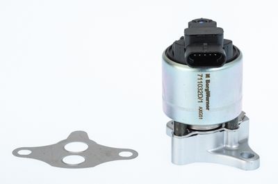 EGR Valve BorgWarner (Wahler) 711032D/1