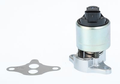 EGR Valve BorgWarner (Wahler) 711033D