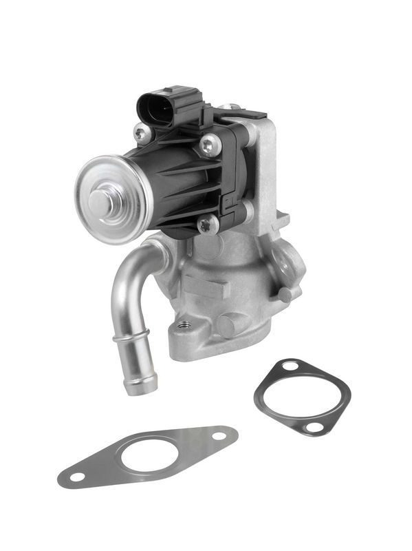 BorgWarner (Wahler) 712017D EGR Valve