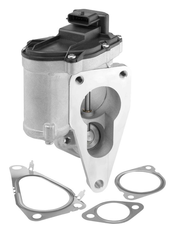BorgWarner (Wahler) 712018D EGR Valve