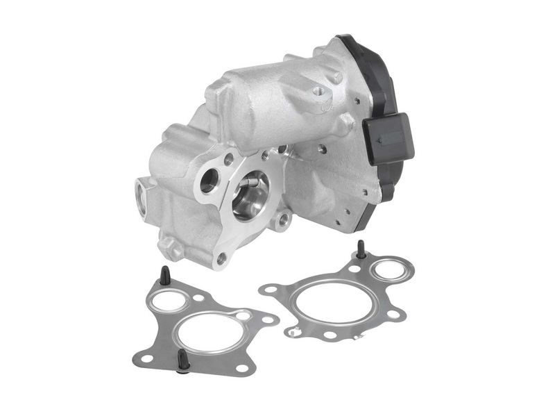 BorgWarner (Wahler) 712019D EGR Valve