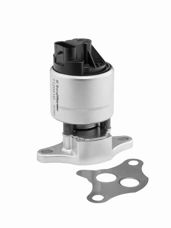 BorgWarner (Wahler) 712051D EGR Valve