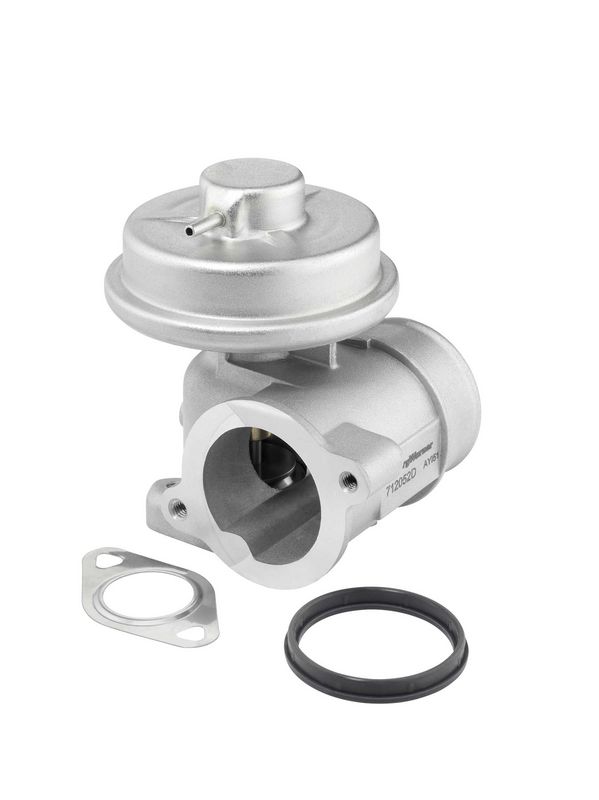 BorgWarner (Wahler) 712052D EGR Valve