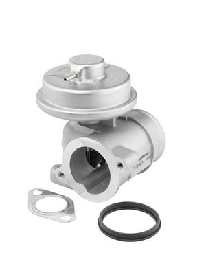 EGR Valve BorgWarner (Wahler) 712052D