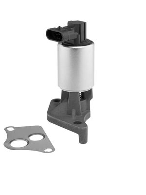 EGR Valve BorgWarner (Wahler) 712060D