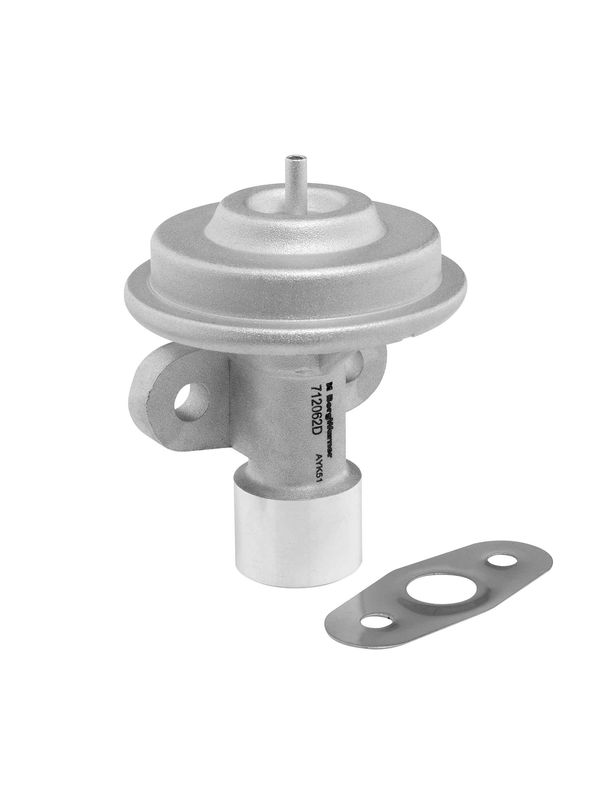BorgWarner (Wahler) 712062D EGR Valve