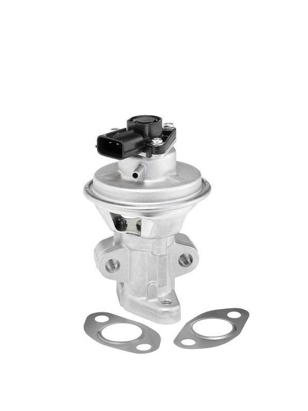 BorgWarner (Wahler) 712063D EGR Valve