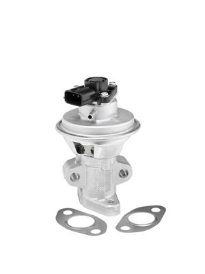 EGR Valve BorgWarner (Wahler) 712063D