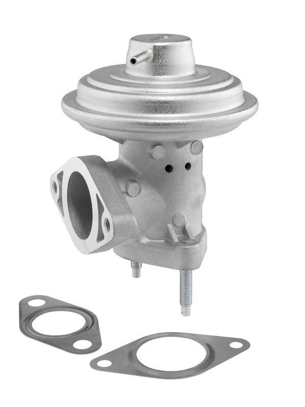 BorgWarner (Wahler) 712065D EGR Valve