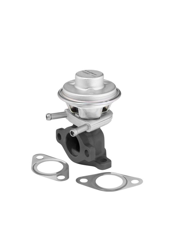 BorgWarner (Wahler) 712069D EGR Valve