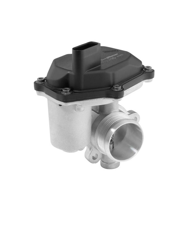BorgWarner (Wahler) 712079D EGR Valve