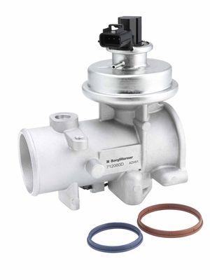 EGR Valve BorgWarner (Wahler) 712080D