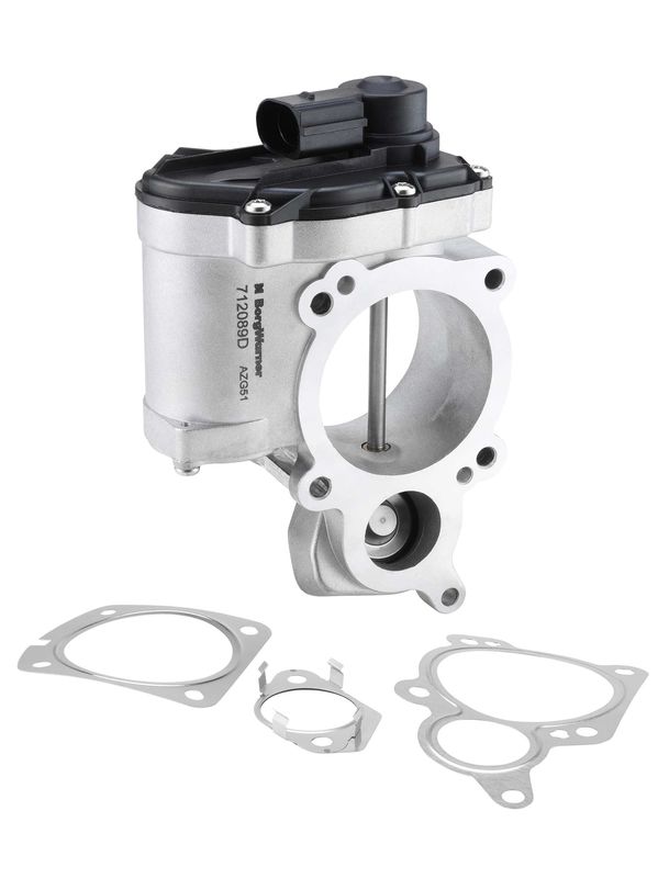 BorgWarner (Wahler) 712089D EGR Valve