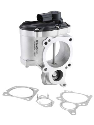 EGR Valve BorgWarner (Wahler) 712089D