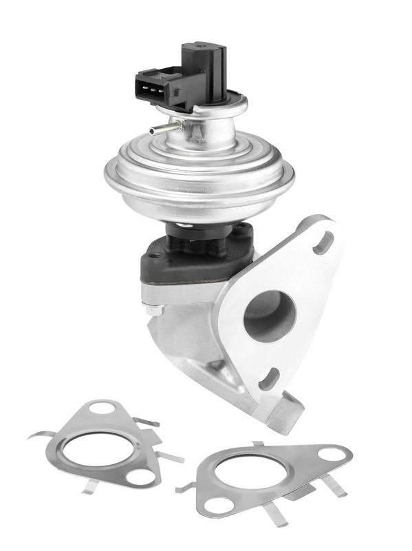 BorgWarner (Wahler) 712092D EGR Valve